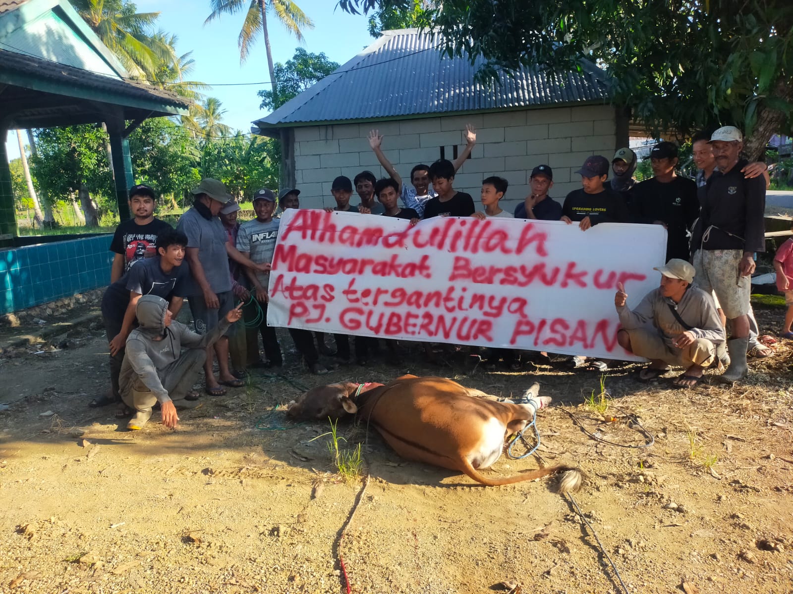 Masyarakat Bone Potong Sapi Sebagai Tanda Syukur Baktiar Dicopot